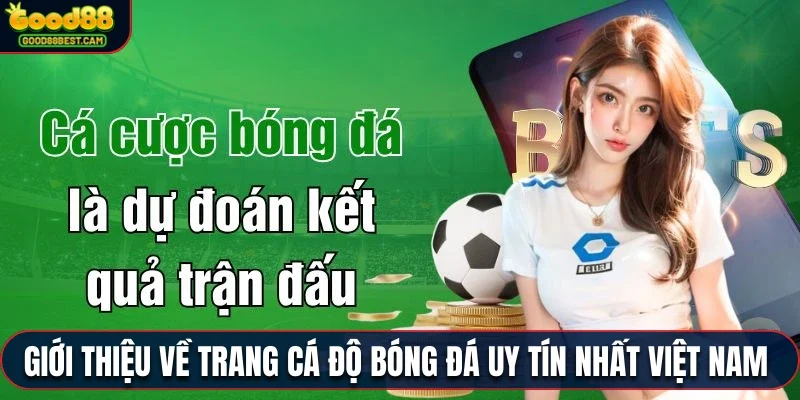 Giới thiệu về trang cá độ bóng đá uy tín nhất Việt Nam cho người mới