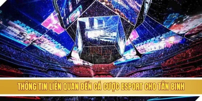 Thông tin liên quan đến cá cược esport cho tân binh